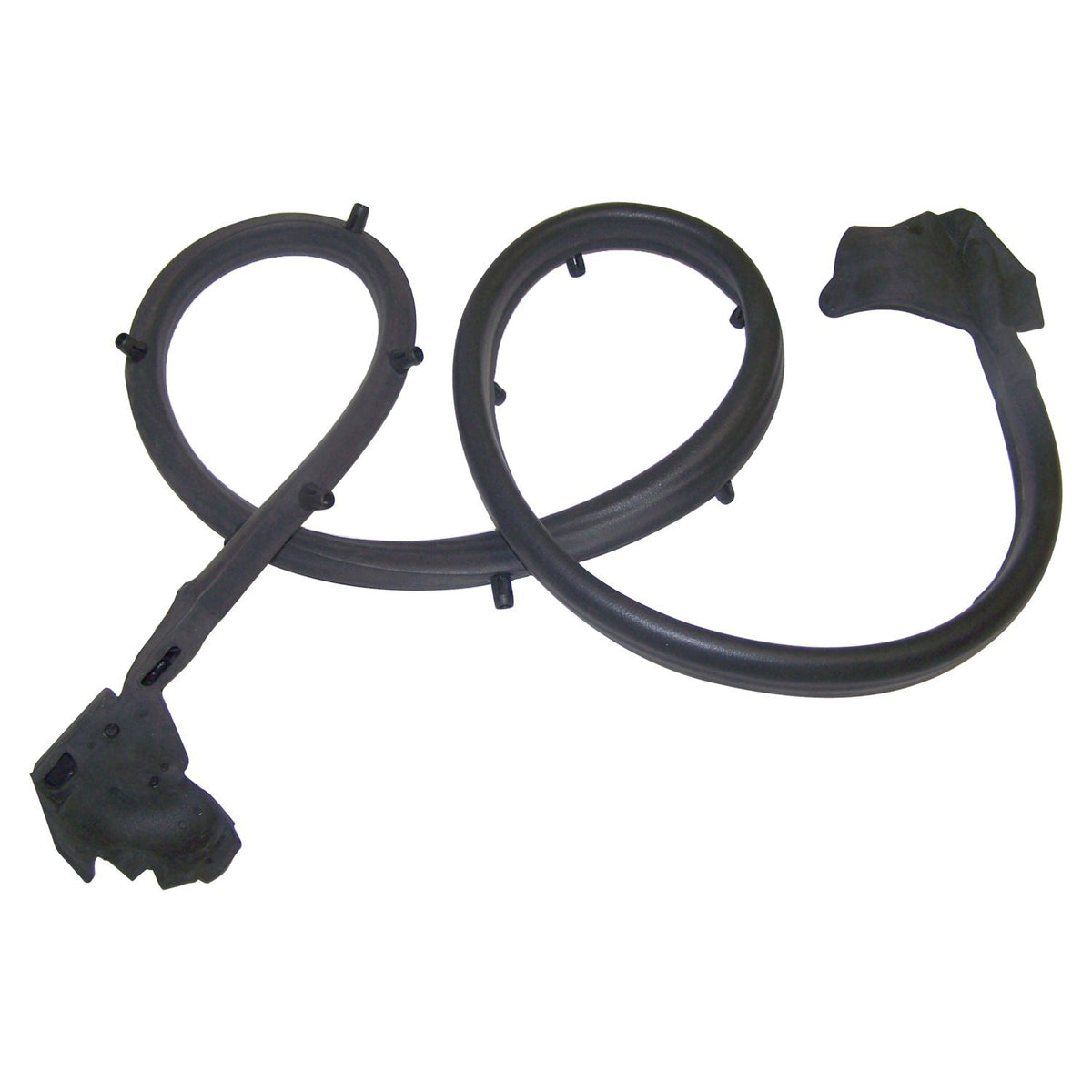 Crown Automotive Door Weatherstrip – 55009828