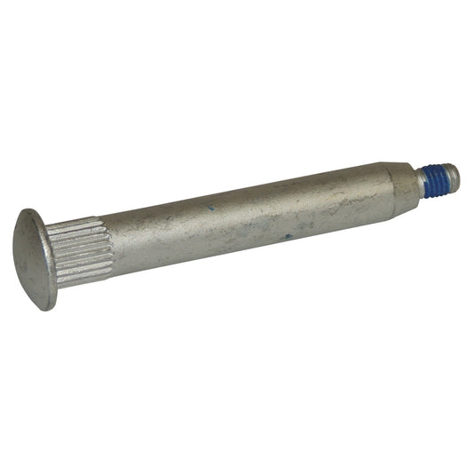 Crown Automotive Door Hinge Pin – 55395702AE